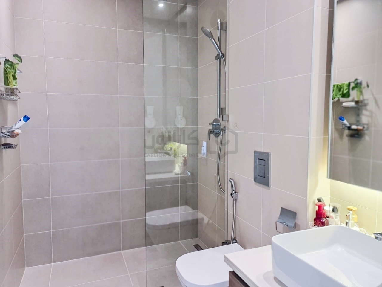 property 1156 image 4
