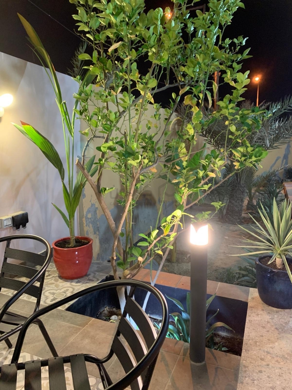 property 848 image 1